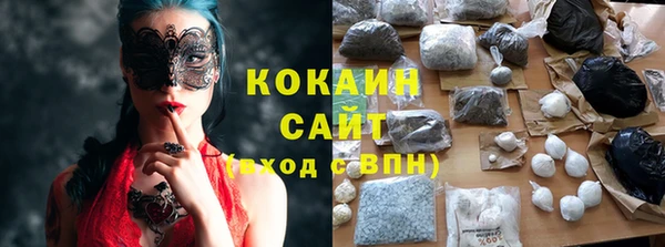 молекула духа Алзамай