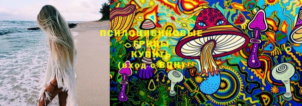 молекула духа Алзамай
